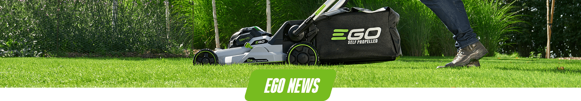 EGO News