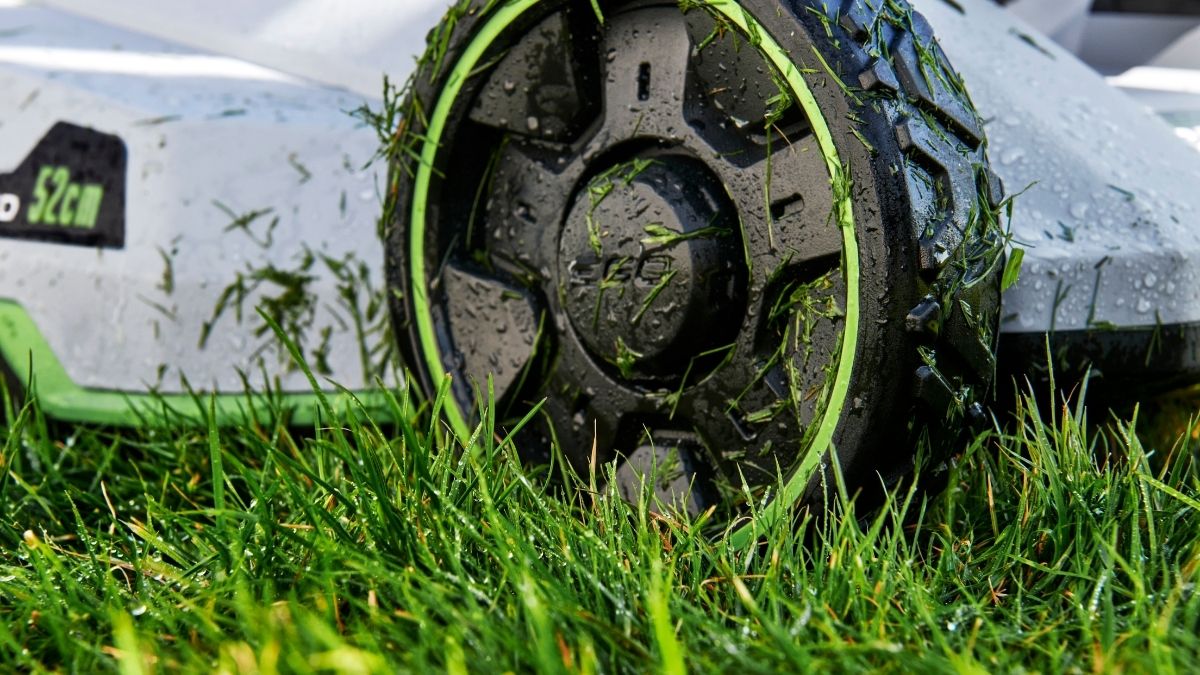 La pacciamatura fa bene al prato? (Vantaggi, svantaggi e consigli pratici)