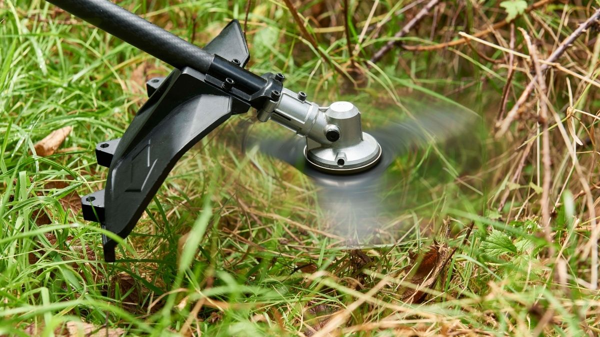 A cosa serve un decespugliatore?