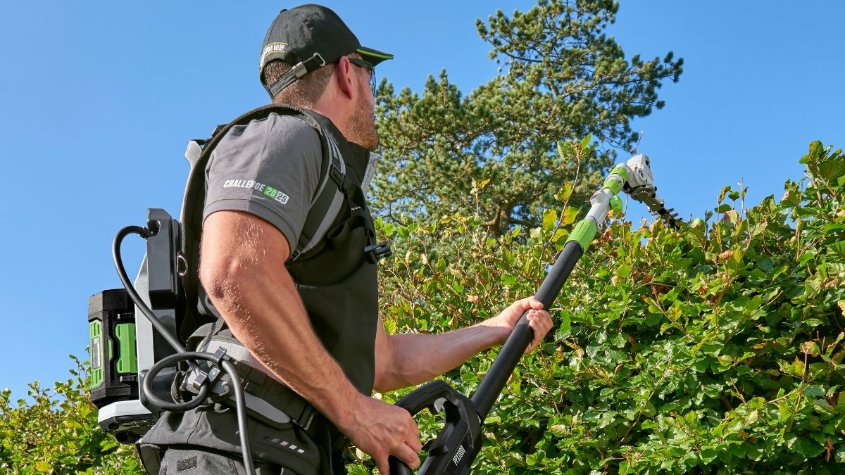 Posso potare le siepi in estate?